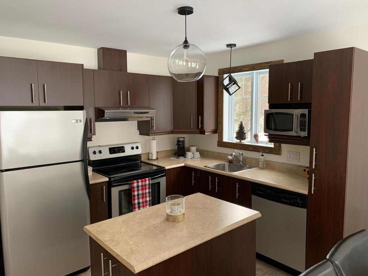 Condo Mont-Édouard 2 LʼAnse-Saint-Jean Extérieur photo